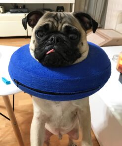 KONG - Cloud Collar - Plush, Inflatable E-Collar - For Injuries, Rashes and Post Surgery Recovery - For Medium Dogs/Cats Standard Packaging 25 71YSuASPvTL