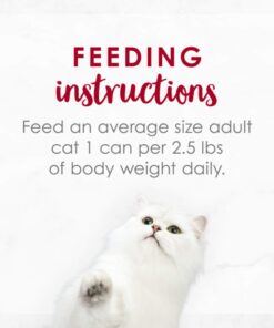 Purina Fancy Feast Wet Cat Food Medleys - (24) 3 oz. Cans Salmon Primavera in Sauce 3.00 Ounce (Pack of 24) 22 71YaDp6XtLL