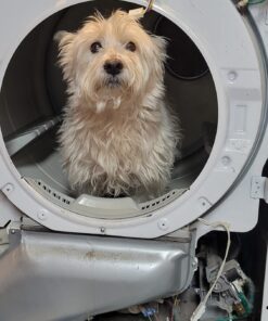 Samsung OEM DC32-00007A DC32-00007A Thermistor 9 71YaZE0oTjL