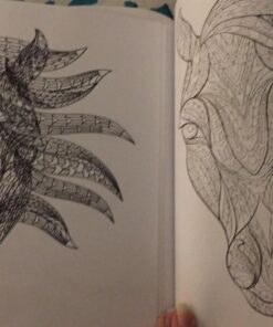 Adult Coloring Book: Stress Relieving Animal Designs 41 71YbA01HARL