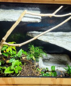 Pond Armor SKU-BLACK-QT-R Non Toxic Pond Shield Epoxy Paint, 1.5-Quart, Black 1.5 Quart 30 71Ybf6Pa02L