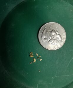 Nugget Reserve Gold Paydirt Clunker Panning Pay Dirt Bag – Gold Prospecting Concentrate 38 71YcmKqiPL