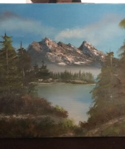 Martin/ F. Weber Bob Ross Master Paint Set 31 71Yd26dIIyL