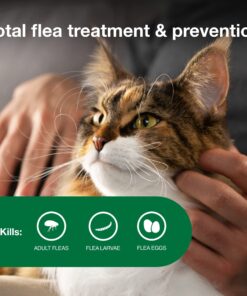 Advantage II Large Cat Vet-Recommended Flea Treatment & Prevention | Cats Over 9 lbs. | 2-Month Supply 2 Pack Large Cat only 24 71Yelw8QBKL 6