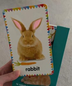 My First Touch and Feel Picture Cards: Animals (My First Board Books) 42 71YfiJTLJXL