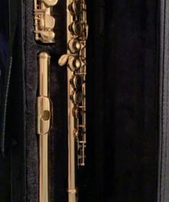 Mendini by Cecilio Premium Grade Closed Hole C Flute with Stand, Book, Deluxe Case and Warranty (Nickel Plated) 18 71Yk qgbRSL