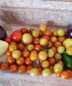 Burpee Super Sweet 100' Hybrid Cherry Tomato, 50 Seeds 34 71YmipYjUEL