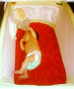 Fisher-Price Rock with Me Bassinet Green 53 71YnC0n7nJL