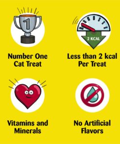 TEMPTATIONS MIXUPS Crunchy and Soft Cat Treats Catnip Fever Flavor, 16 oz. Tub 16 Ounce (Pack of 1) 29 71YngWbbN0L