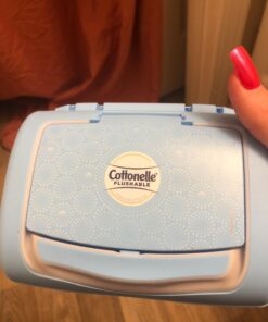 Cottonelle FreshCare Flushable Wipes for Adults, Alcohol Free, White, Pack of 42 Wet Wipes 42 Count (Pack of 1) 26 71YoKiXS5L