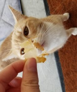 Cat-Man-Doo Extra Large Dried Bonito Flakes Treats for Dogs & Cats - All Natural High Protein Flakes - 4oz. / 112g Bag 4 Ounce (Pack of 1) 48 71Yppq8AWJL 1