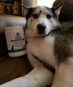 Advanced Hip & Joint Supplement for Dogs, 225 Soft Chews, All Natural Glucosamine, Chondroitin, MSM & CoQ10 For Healthy Hips & Joints, Made in the USA Chicken - 225 Count 37 71YqDF0tqCL 3