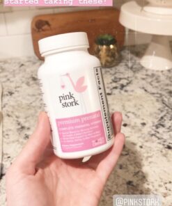 Pink Stork Premium Prenatal Vitamins for Women with Organic Whole-Food Ingredients for Fetal Development and Morning Sickness Support, Probiotics, Folate, B6, & More - 60 Capsules 41 71Yr2tOvVAL