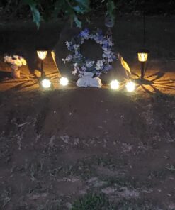 IdeaWorks JB7356 Solar Paw Print Outdoor Lights, Black 32 71Ys8GLFQtL