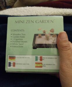 Toysmith Mini Zen Garden - Colors May Vary 1 31 71YssmhMouL