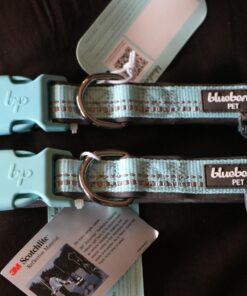 Blueberry Pet Soft & Safe 3M Reflective Neoprene Padded Adjustable Dog Collar - Baby Blue Pastel Color, Medium, Neck 14.5"-20" 49 71Yxz4za9gL 2
