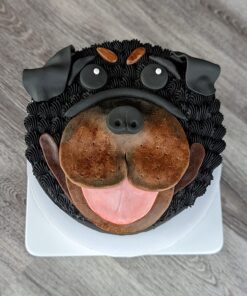 Americolor Soft Gel Paste Food Color, 13.5-Ounce, Chocolate Brown 6 71YyETpnFkL