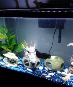 Penn-Plax Deco-Replicas Dragon Skull Gazer Aquarium Decoration – Safe for Freshwater and Saltwater Fish Tanks – Large 22 71Z1D8vFhL