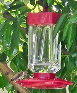 First Nature 3055 32-ounce Hummingbird Feeder 43 71Z2nuJ63bL