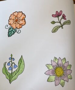 Secret Village - A Coloring Book Adventure: Beyond the Garden Gate, Beneath the Forest Floor, Among the Hollow Trees - A Mystery Endures! (Purse Sized ... & Inspirational for Ages 9 to Adult) 39 71Z33KbyCyL 1