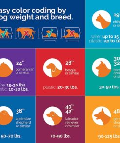 Petmate Sky Kennel, 36 Inch, IATA Compliant Dog Crate for Pets 50-70lbs, Made in USA Kennel Only 43 71Z3uupv AL