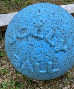 Jolly Pets Bounce-n-Play Dog Toy Ball, 8 Inches/Large, Blueberry, (Model: 2508 BB) Large (8 in) 35 71Z4BQODP5L