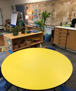 Fadeless Bulletin Board Paper, Fade-Resistant Paper for Classroom Decor, 48” x 12’, Weathered Wood, 1 Roll 48 Inches x 12 Feet 64 71Z4RAnW33L