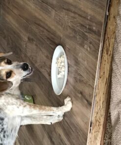 Whistle 3 / GPS Pet Tracker & Activity Monitor / Grey 60 71ZA8GxIEcL