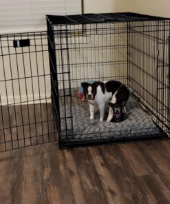 MidWest Homes for Pets Newly Enhanced Single Door iCrate Dog Crate, Includes Leak-Proof Pan, Floor Protecting Feet, Divider Panel & New Patented Features 52 71ZATVSi0LL 2