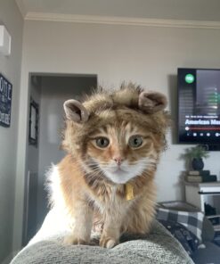 Pet Krewe Cat Lion Mane Halloween Costume – Fits Neck Size 8”-14 - Lion Costume for Small Cats and Kittens – Ideal for Halloween, Cat Birthday, Cat Cosplay, Cat Outfits, Pet Clothes One size fits all 36 71ZAeaGfvwL