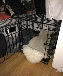 MidWest Homes for Pets Newly Enhanced Double Door iCrate Dog Crate, Includes Leak-Proof Pan, Floor Protecting Feet, Divider Panel & New Patented Features, Black X-Small 55 71ZC7zMk3L 1