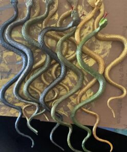 Rhode Island Novelty 14" Rain Forest Snakes | Assorted Designs | Set of 12 22 71ZDJJ49GdL