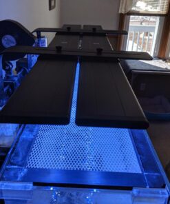 Current USA 36-48" Inch Orbit Marine LED Saltwater Reef Marine Aquarium Light | 24 Hour IR Lighting & eFlux Wave Pump Control | Adjustable Color Spectrum for Fish Tank (4102) Black 36 to 48-Inch 42 71ZFjOESeDL