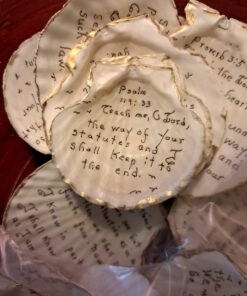 SAKURA Pigma Micron Fineliner Pens - Archival Black Ink Pens - Pens for Writing, Drawing, or Journaling - Black Ink - 005 Point Size - 6 Pack 005 Tip 33 71ZG26NpimL