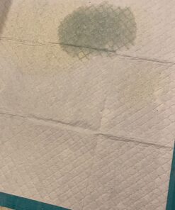 Simple Solution Extra Large Training Puppy Pads - 3 in 1 Attractant - Absorbs Up to & Cups of Liquid - 28x30in - 50 Count 50 ct 23 71ZGI5Zyd8L