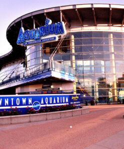 Nikon D7000 DSLR (Body Only) (OLD MODEL) Body Only Base 38 71ZGXNzD7tL