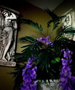 Design Toscano Water Maidens Wall Friezes (Set Includes: Dordogne & Seine), 22 Inch, Set of Two, Two Tone Stone 28 71ZH aPkjpL