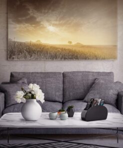 Londo Remote Control Holder with 5 Pockets - Store DVD, Blu-Ray, TV, Roku or Apple TV Remotes - PU Leather with Suede Lining - Slim, Compact Living or Bedroom Storage Black 18 71ZHqkNfL