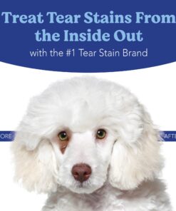 ANGELS' EYES PLUS Tear Stain Prevention Beef Powder for Dogs | All Breeds | No Wheat No Corn | Daily Support for Eye Health | Proprietary Formula |Limited Ingredients | Net Content 75g 15 71ZIOjzowL