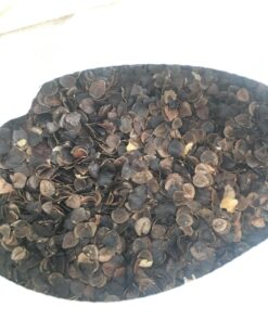 Seat Of Your Soul Crescent Meditation Cushion –10 Colors Half-Moon Yoga Pillow; Organic Cotton Zafu Cover & Zipper Liner to Adjust USA Buckwheat Hulls; Floor Pouf for Sitting Kids, Men or Women Natural 25 71ZIfXoBJIL