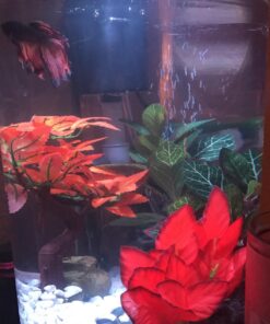 Marina Naturals Red Foreground Silk Plant – Fish Tank Decoration Mimics Live Aquarium Plants Red Small 29 71ZJtynTGBL