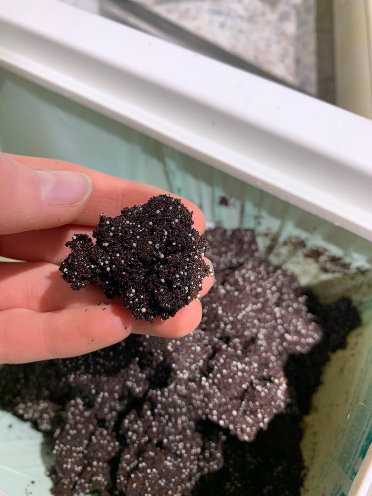 New Wave Enviro 10 Stage Plus Water Filter Replacement Cartridge 11 New Wave Enviro 10 Stage Plus Water Filter Replacement Cartridge - Image 11