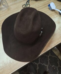 Blue Coral DC22 Upholstery Cleaner Dri-Clean Plus with Odor Eliminator, 22.8 oz. Aerosol 38 71ZKOvCSBbL