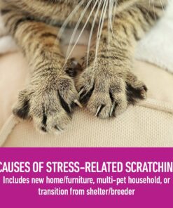 Comfort Zone with Feliway Diffuser Kit for Cat Calming, 1 Diffuser and 1 Refill 17 71ZQNAYhH2L