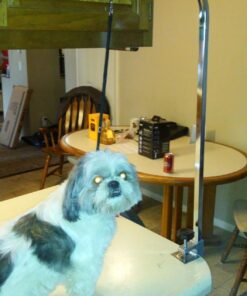 Pet Edge Master Equipment Silver Aluminum Pet Grooming Arm & Clamp – Adjustable Height to 36”, Fits Most Grooming Tables 16 71ZQwQqm7nL 1