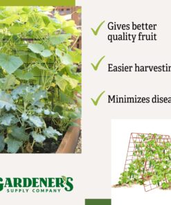 Gardeners Supply Company Deluxe Cucumber Trellis | Easy to Install Raised Garden Bed Cucumbers & Climbing Plants A-Frame Trellis | Outdoor Plant Support w/ 4" Grids for Easy Harvesting | 32"W x 46"H 13 71ZTHLeDP L