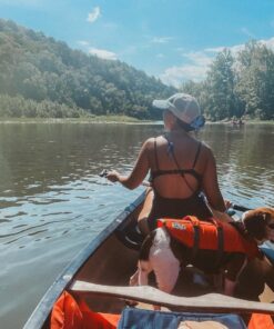 Outward Hound Granby Splash Orange Dog Life Jacket, Medium Granby (Flotation) Medium (Chest Girth: 21"-27") 34 71ZUbVGSQL