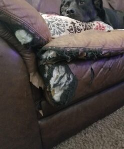 MastaPlasta Original Self-Adhesive Leather Repair Patch - Mid-Brown 11" x 8" (28 x 20 cm), Instant Upholstery-Quality Scratch & Tear Repair for Sofas, Car Interiors, Bags, Vinyl & More C Mid-Brown Leather 40 71ZV8tG7tyL