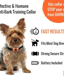 Dog Bark Collar - Stop Dogs Barking Fast! Safe Anti Barking Devices Training Control Collars, Small, Medium and Large pet deterrent. No shock, remote or citronella. Sound, vibration training device 22 71ZVkvhPZpL