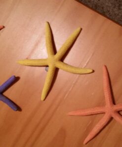 LOT of 10 White Pencil Starfish Wedding Decor 4" - 5" 28 71ZWlW S2ZL